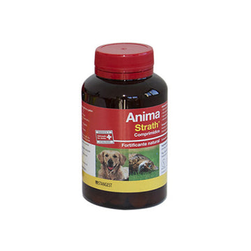 Stangest Anima Strath Suplemento 240 Cpd