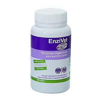 Stangest Enzivet Suplemento Digestivo 60 cpds