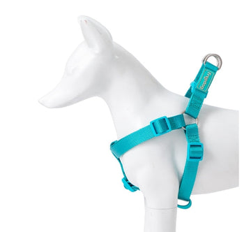 Freedog Nylon Basic Tipo A Arnés Turquesa 70-90cm