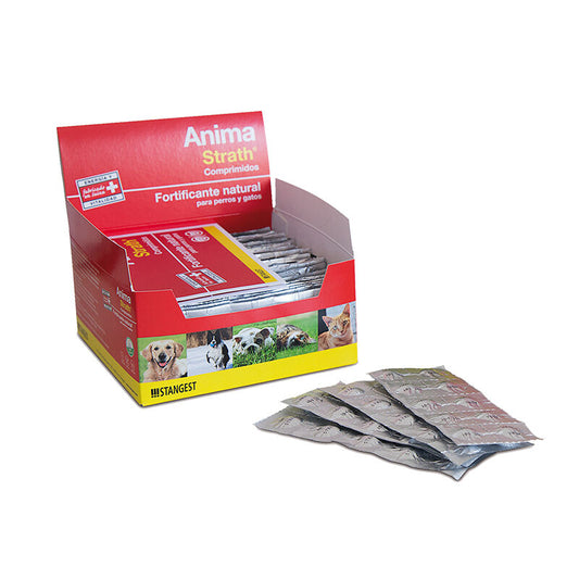 Stangest Anima Strath Suplemento Nutricional 360g