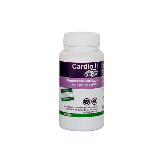 Stangest Cardio II Carnitina Suplemento para Mascotas 60 comprimidos