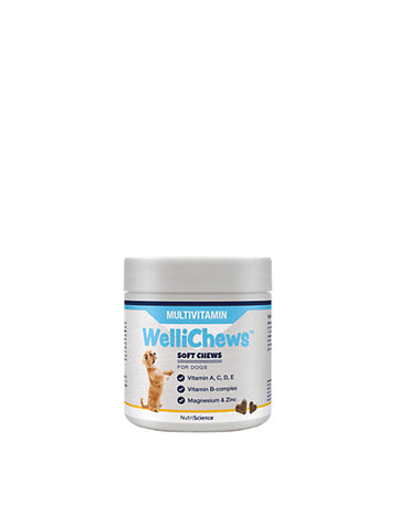Swedencare Wellichews Masticables Multivitamínicos 60 u