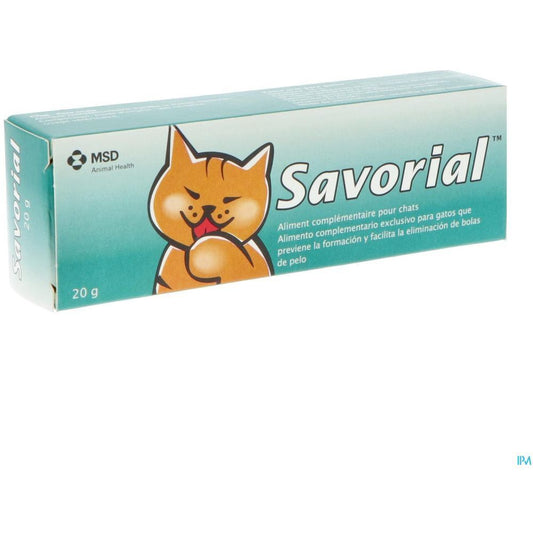 Msd Savorial Pasta Oral Complementaria 20g