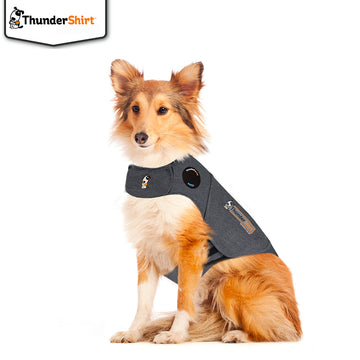 ThunderShirt XS Chaleco para Perros 1 pieza