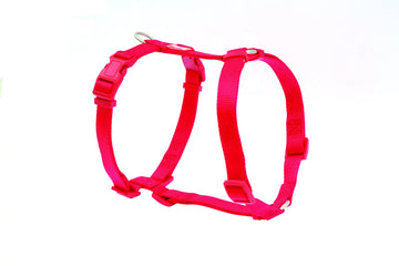 Freedog Arnés Nylon Basic Rojo 1 ud