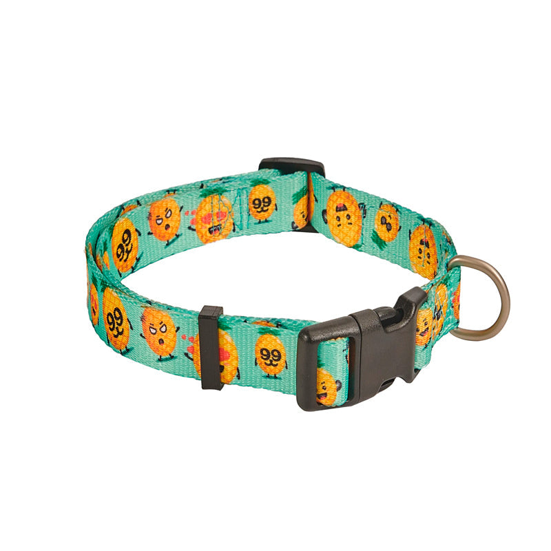 Freedog Collar Piña Breeze T-M 1 ud
