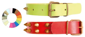 Youpet Collar Leather Class Co1F Vl 39-48 L550 A30 1un