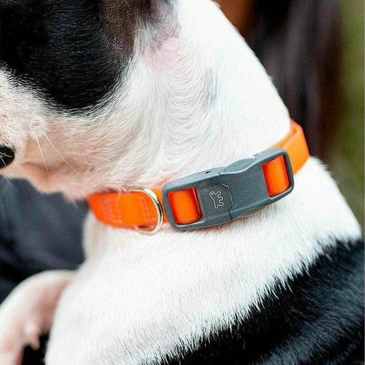 Ferplast Evolution C16/44 Collar Reflectante Naranja 1 ud