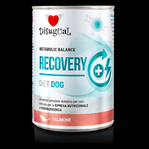 Disugual Diet Dog Recovery Salmón Comida Húmeda 400g