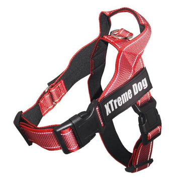 Freedog Arnés Nylon Basic Rojo 1 ud