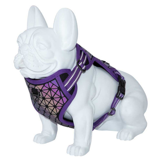 Freedog Boreal Arnés Lila 1 ud