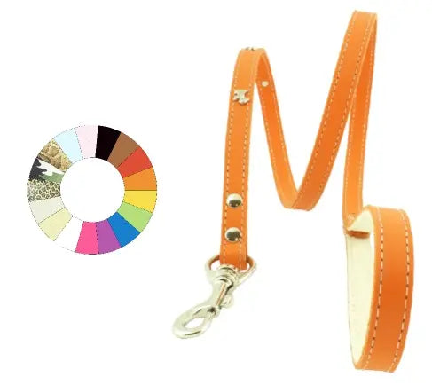 Youpet Correa Paseo Westy Azul L1100 A18 1un