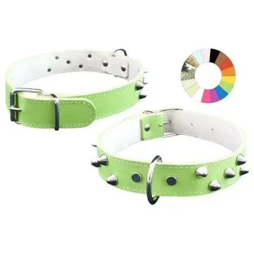 Youpet Collar Mountain Co3F Vl 49-58 L650 A35 1un