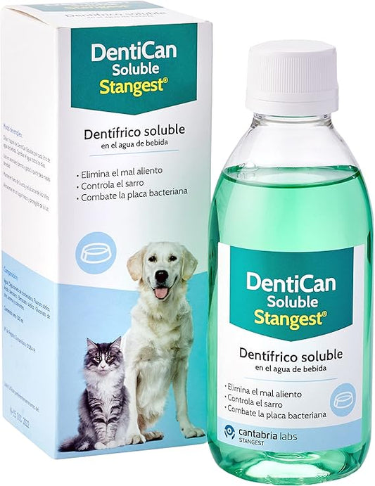 Stangest Dentican Soluble Dentífrico Líquido 250ml