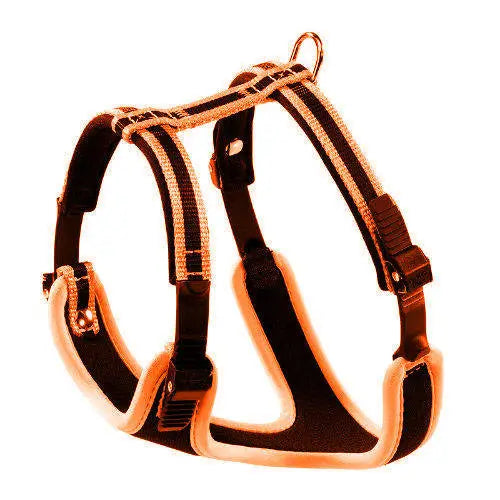 Ferplast Ergocomfort S Arnés Naranja 1 ud