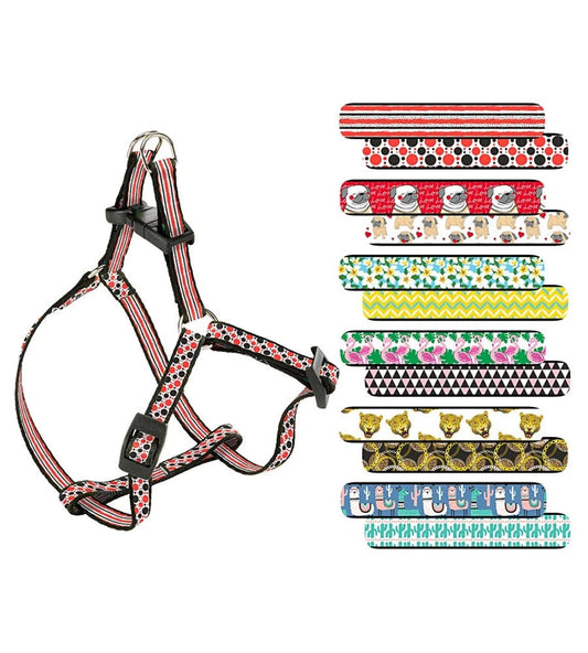 Ferplast Arnes Fantasia P XS Colores Mezclados 250g