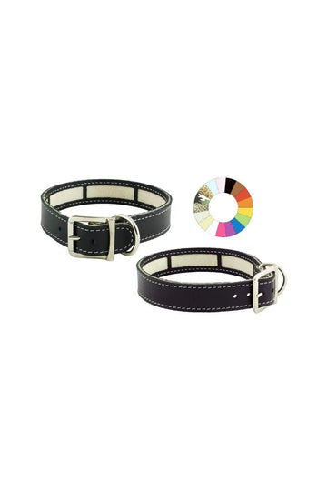 Youpet Collar Little Carrier Mimt 19/22 L250 A22 1un