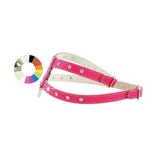 Youpet Arnes Little Marrón A16 C400/29-35 P550/44-50 1un