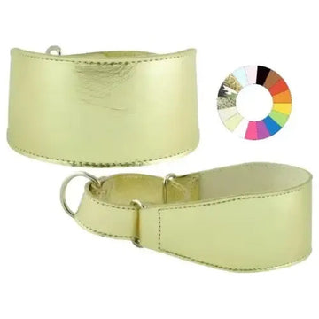 Youpet Collar Galgo Marting Estre Rj 25-35 L350 A60 1un