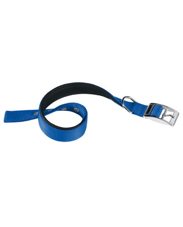 Ferplast Daytona C20 Collar de Nylon Azul 1 ud
