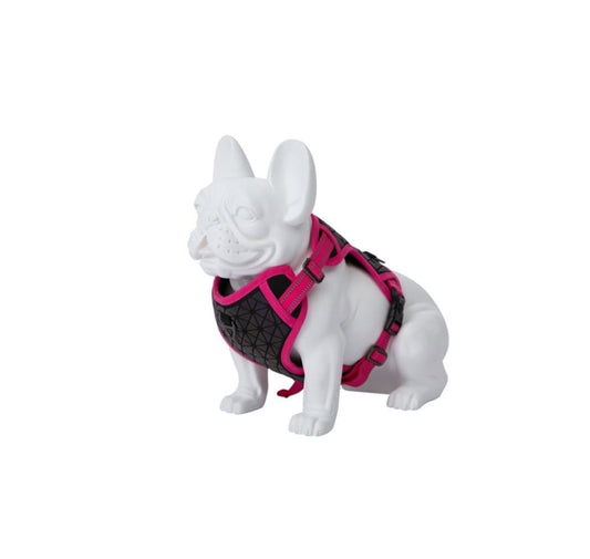 Freedog Boreal Arnés Ajustable 1 ud