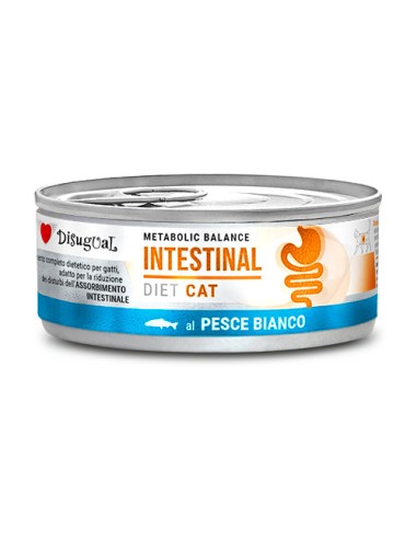 Disugual Diet Gato Intestinal Pescado Blanco 12x85g