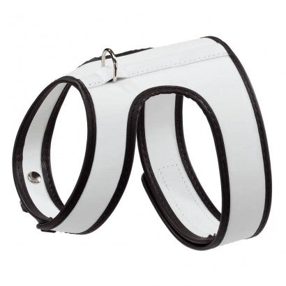 Youpet Arnes Little Naranja A16 C350/24-30 P500/39-45 1un