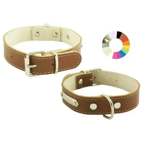 Youpet Collar Mountain Westy Ajustable 600g