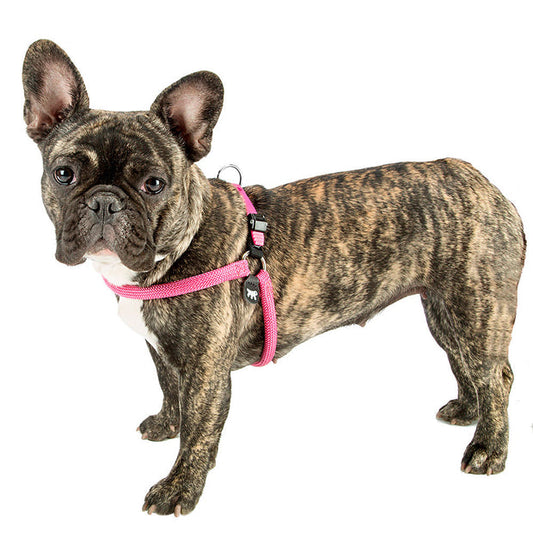 Ferplast Agila Sport 8 Arnés Gris 1 ud