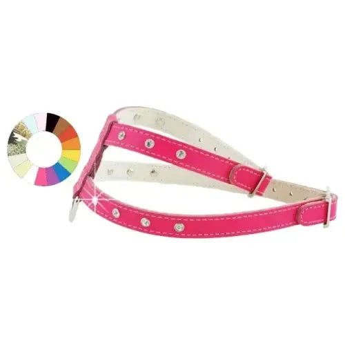 Youpet Arnes Little Fant Oro A16 C350/24-30 P500/39-45 1un