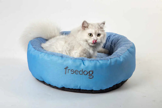 Freedog Icing Donut Sky Blue 65cm