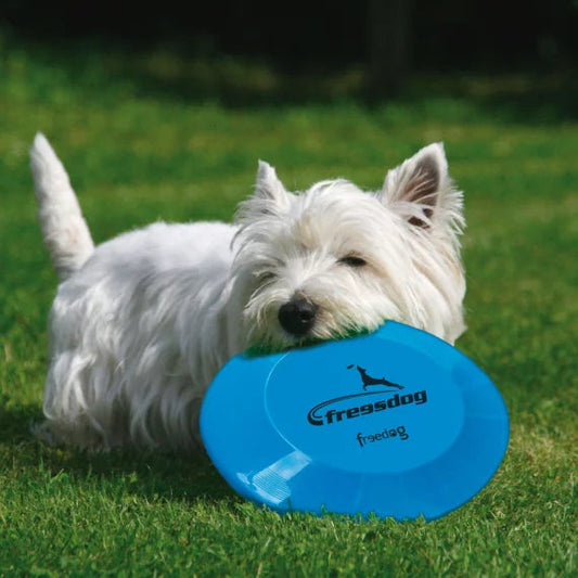 Freedog Frisbee Flotante 23cm