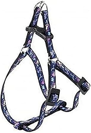 Ferplast Arnes Fantasia P XS Colores Mezclados 250g