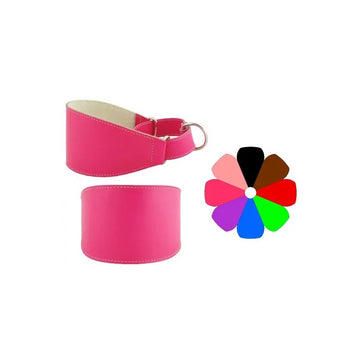 Youpet Collar Galgo Marting Vl 35-45 L450 A80 1un