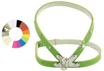 Youpet Petral Fant Leopardo C400 A12 P550 1un