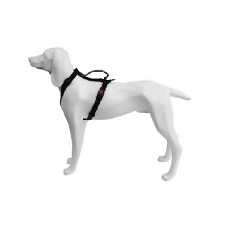 Freedog Extreme Arnés Negro 20mm x 51-74cm