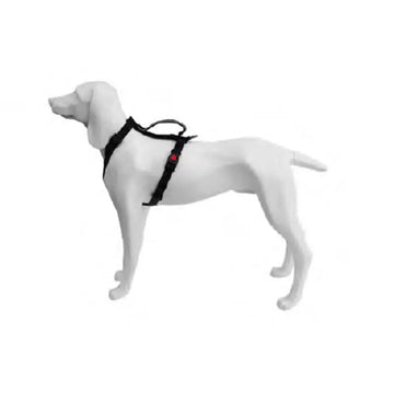 Freedog Extreme Arnés Negro 20mm x 51-74cm