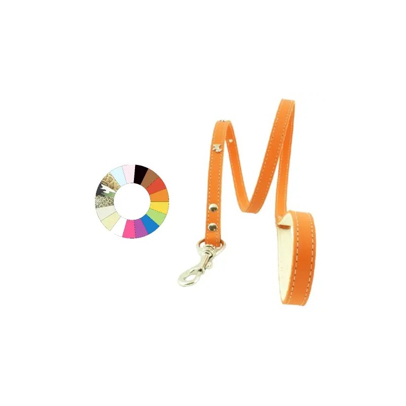 Youpet Correa Paseo Westy Azul L1100 A18 1un