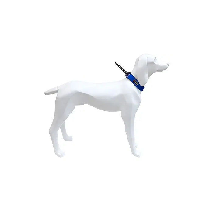 Freedog Gun Azul Collar Autoajustable 39-52cm