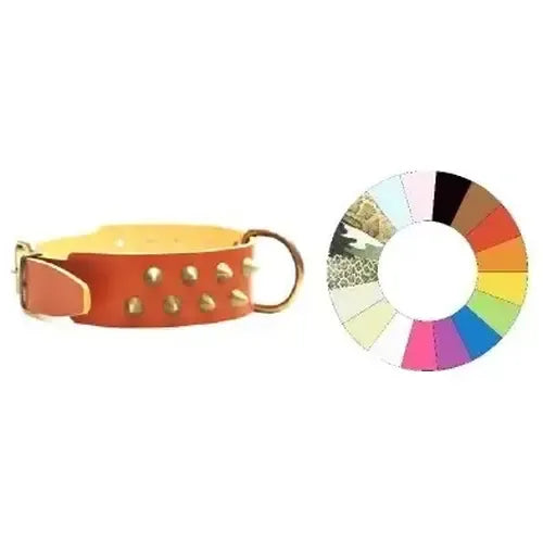 Youpet Collar Bull-Hard Cono2F Mr 3 40-49 L550 A40 1un