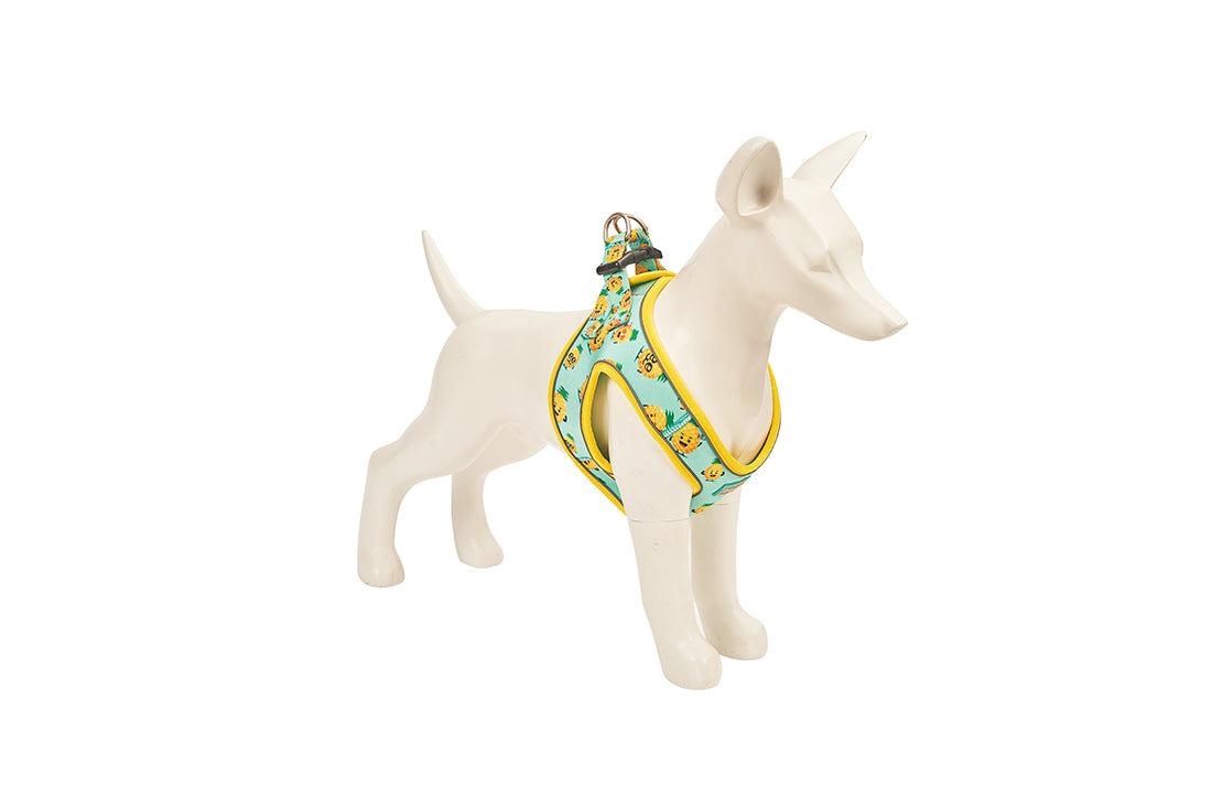Freedog Pineapple Breeze Arnés T-XS 111g
