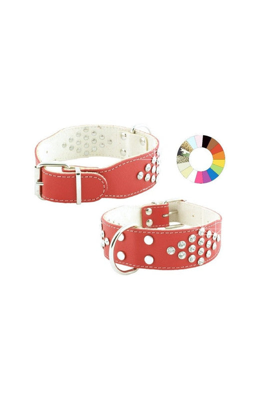 Youpet Collar Bull-Dog Fant Celeste 55-64 L700 A40 1un
