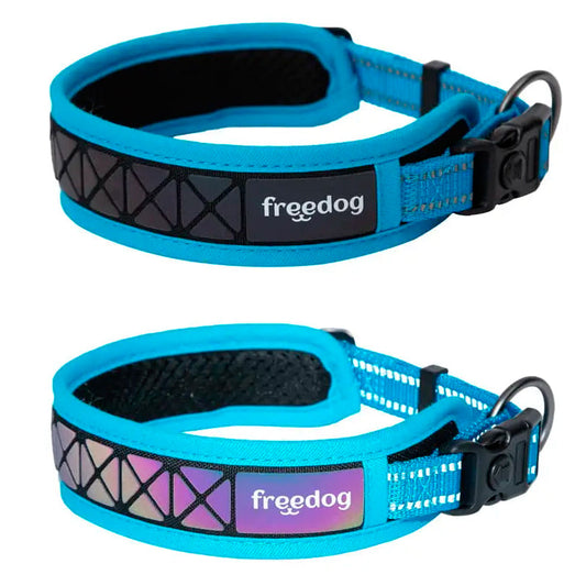 Freedog Boreal Collar Reflectante Azul Capri 20mm 43-52cm