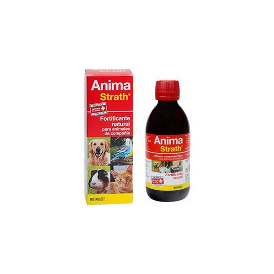 Stangest Anima Strath Suplemento Fortificante 340g