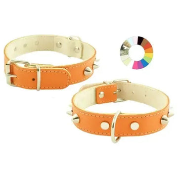Youpet Collar Mountain Co1F Marrón 54-63 L700 A35 1un