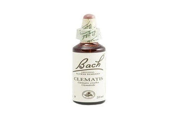 Bach Rescue 09 Clematis 20 ml
