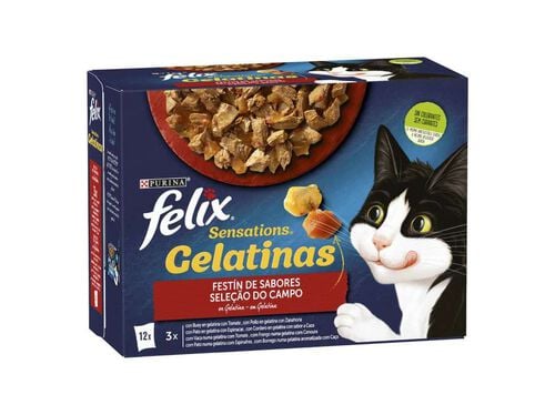 Purina Felix Feline Sensations Gelatin 12x85g