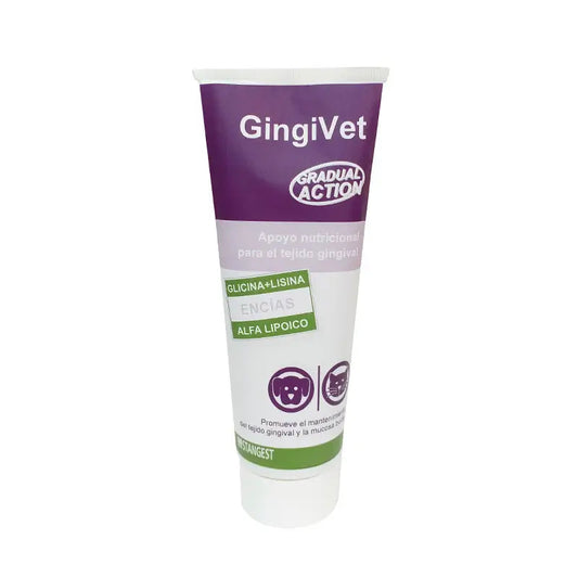 Stangest Gingivet Pasta Salud Dental 100gr