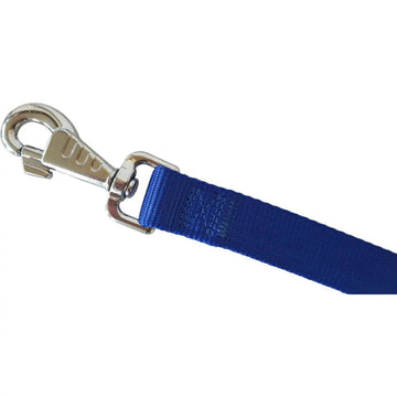 Ferplast Correa Nylon Club G25 120cm Azul