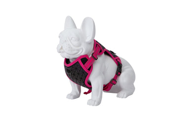 Freedog Boreal Arnés Fucsia M 240g